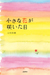 小さな花が咲いた日 小さな花が咲いた日